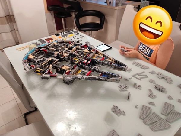 Millennium Falcon™