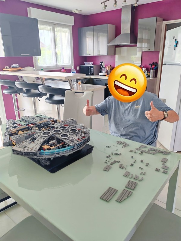 Millennium Falcon™