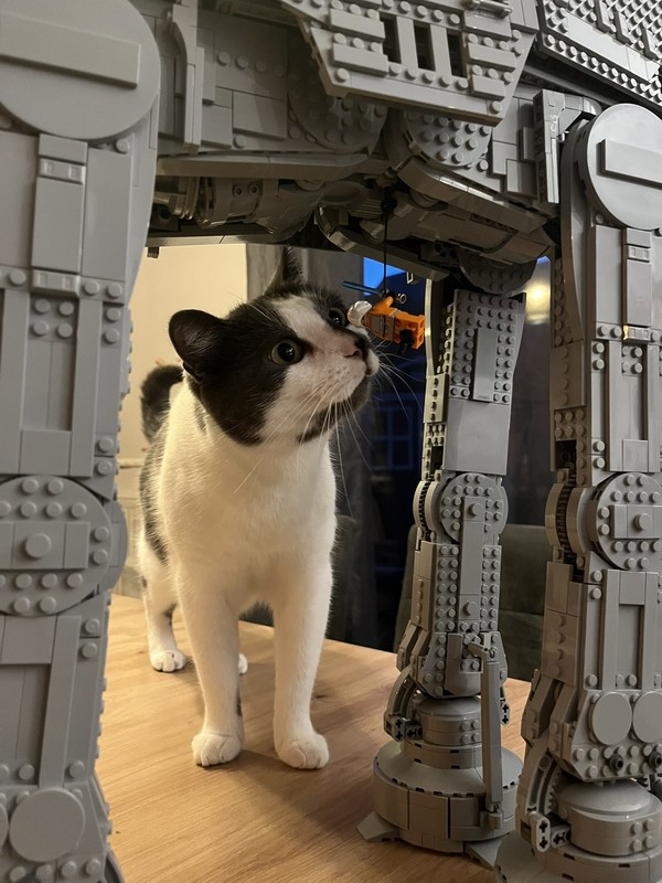 AT-AT™