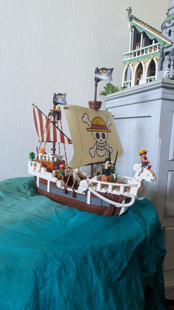 Le bateau pirate Vogue Merry