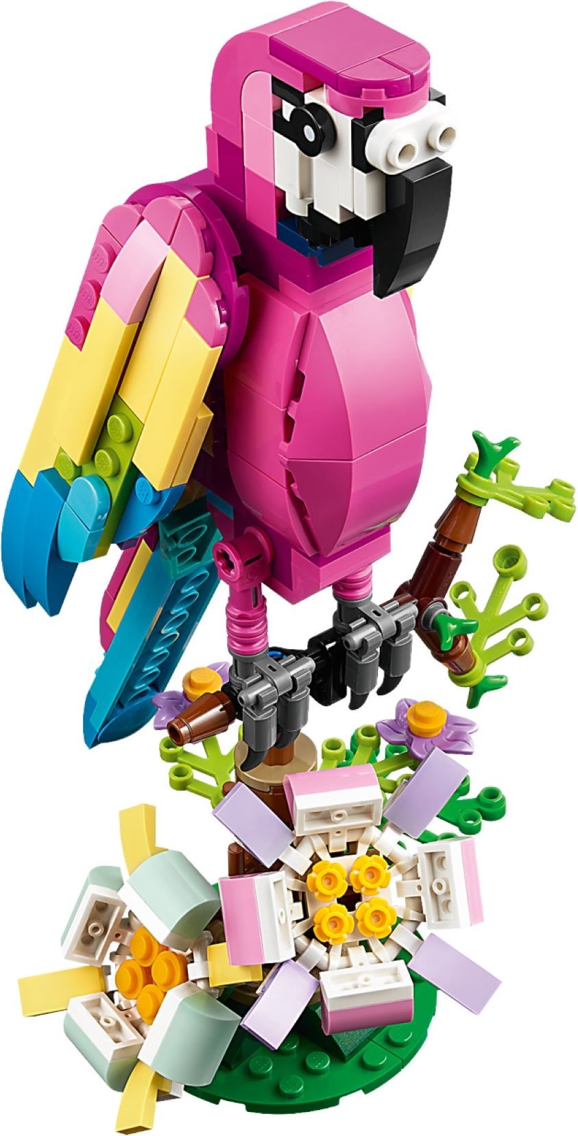 LEGO Creator Le perroquet exotique rose 31144 (253 pièces) Ensemble de jeu  de construction