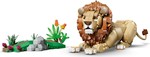 Wild Animals: Majestic Lion